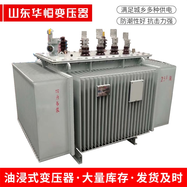 S13-10000/35项城项城项城电力变压器厂家