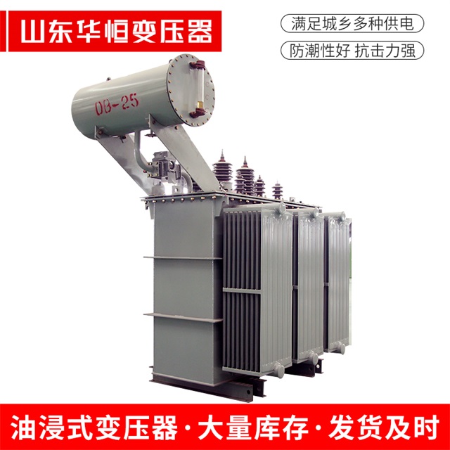 S11-10000/35项城项城项城电力变压器厂家